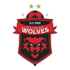 南部海岸狼队U20 vs 悉尼FCU20