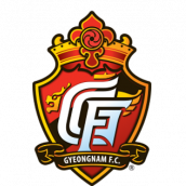 庆南FC vs 天安城
